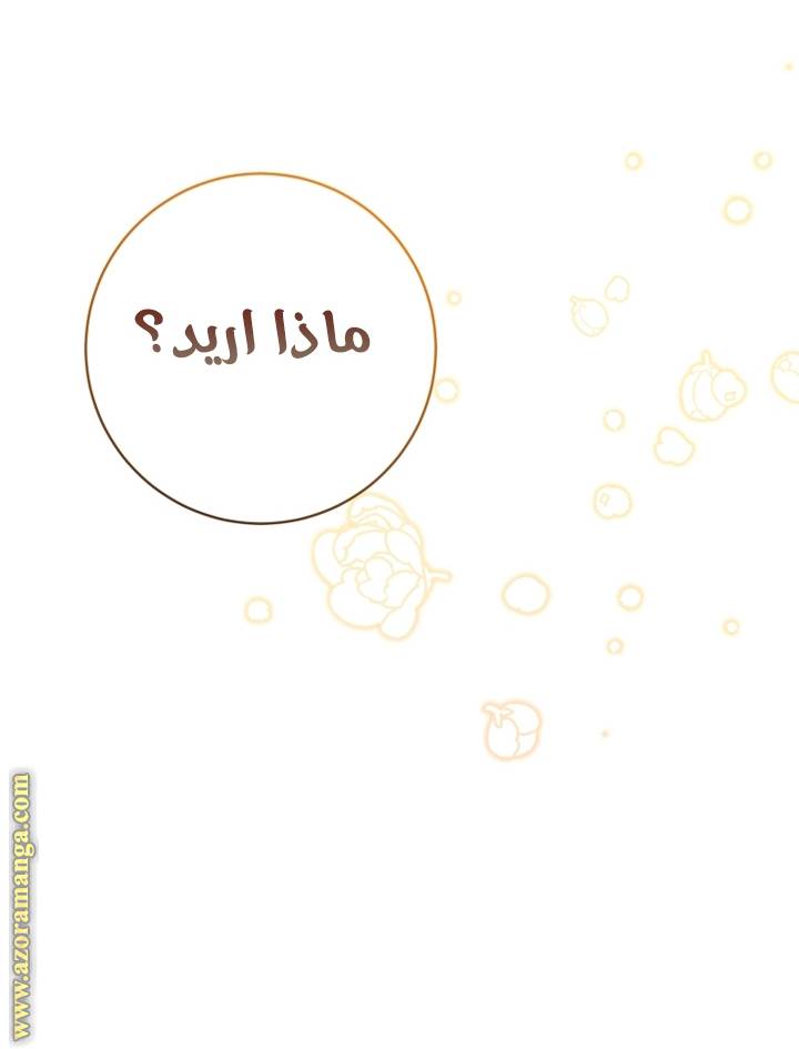 الصفحة 47