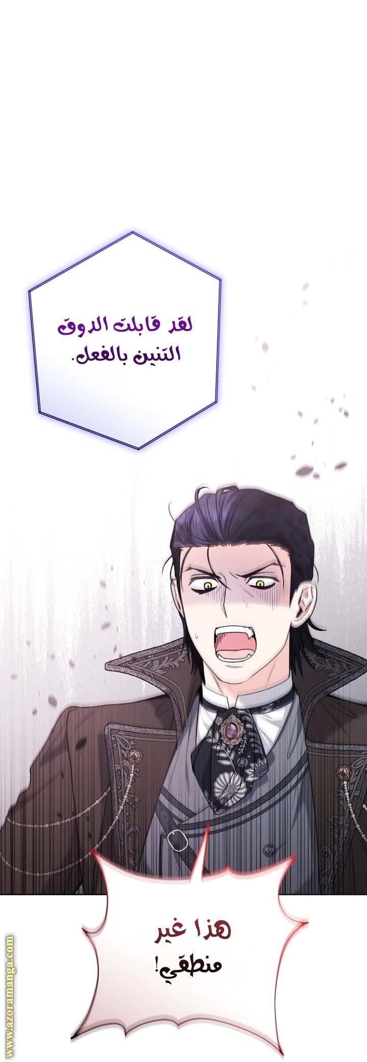 الصفحة 19