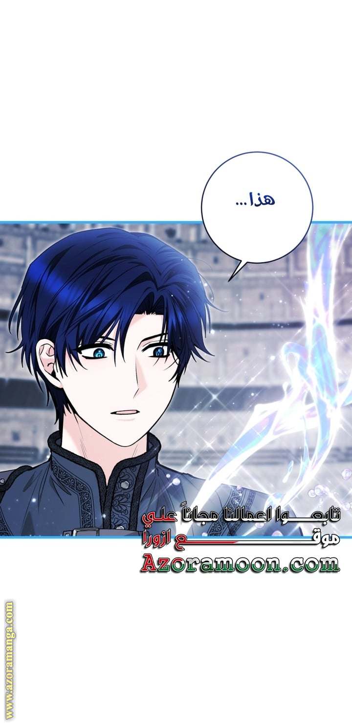 الصفحة 21