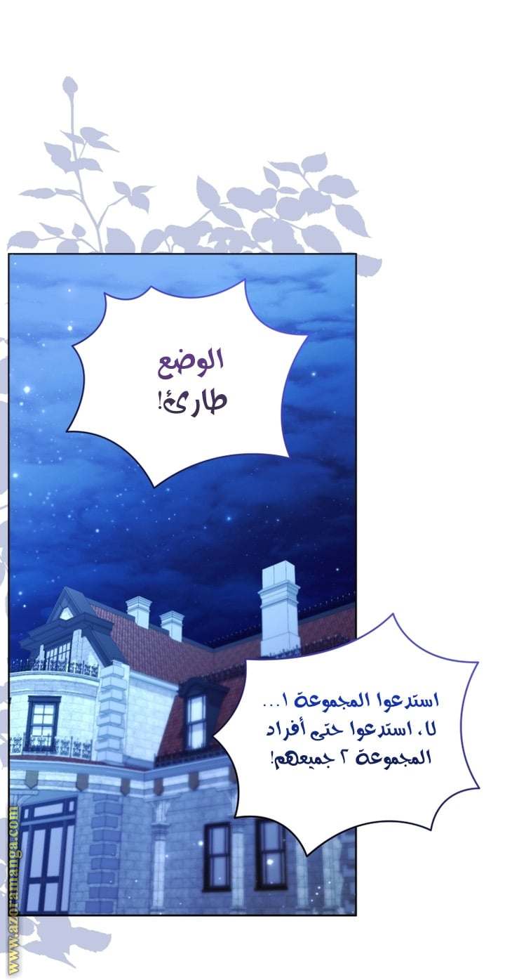 الصفحة 29