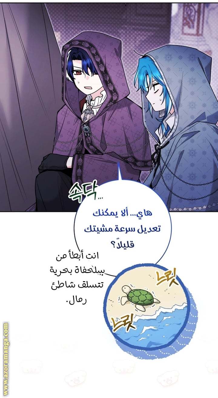 الصفحة 43