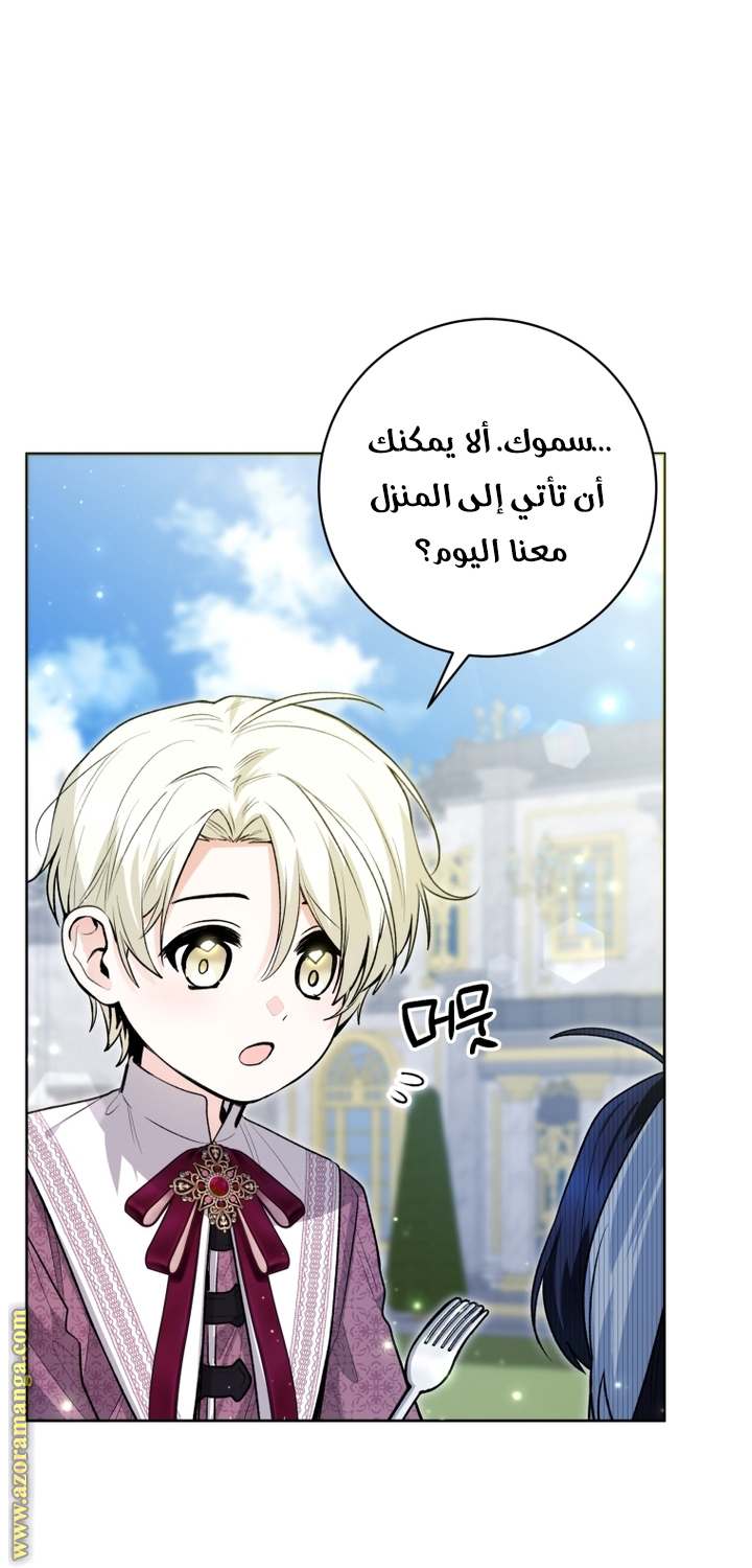 الصفحة 31