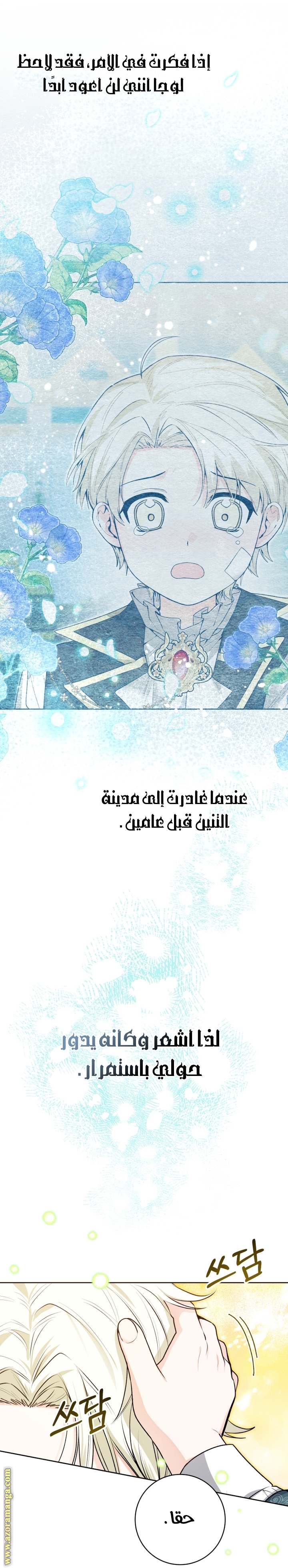 الصفحة 41