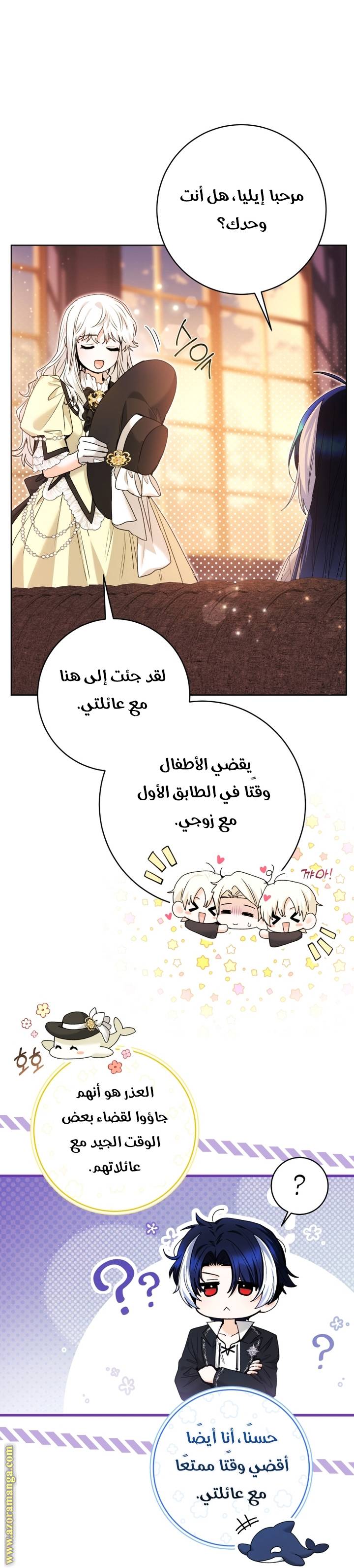 الصفحة 41