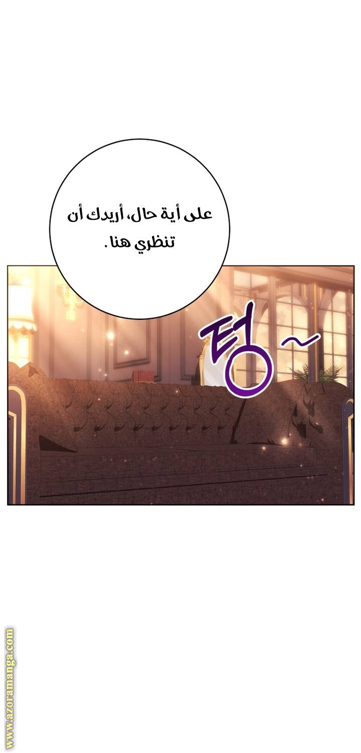الصفحة 42