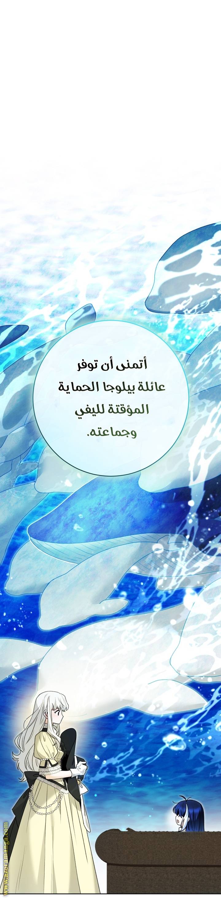 الصفحة 46