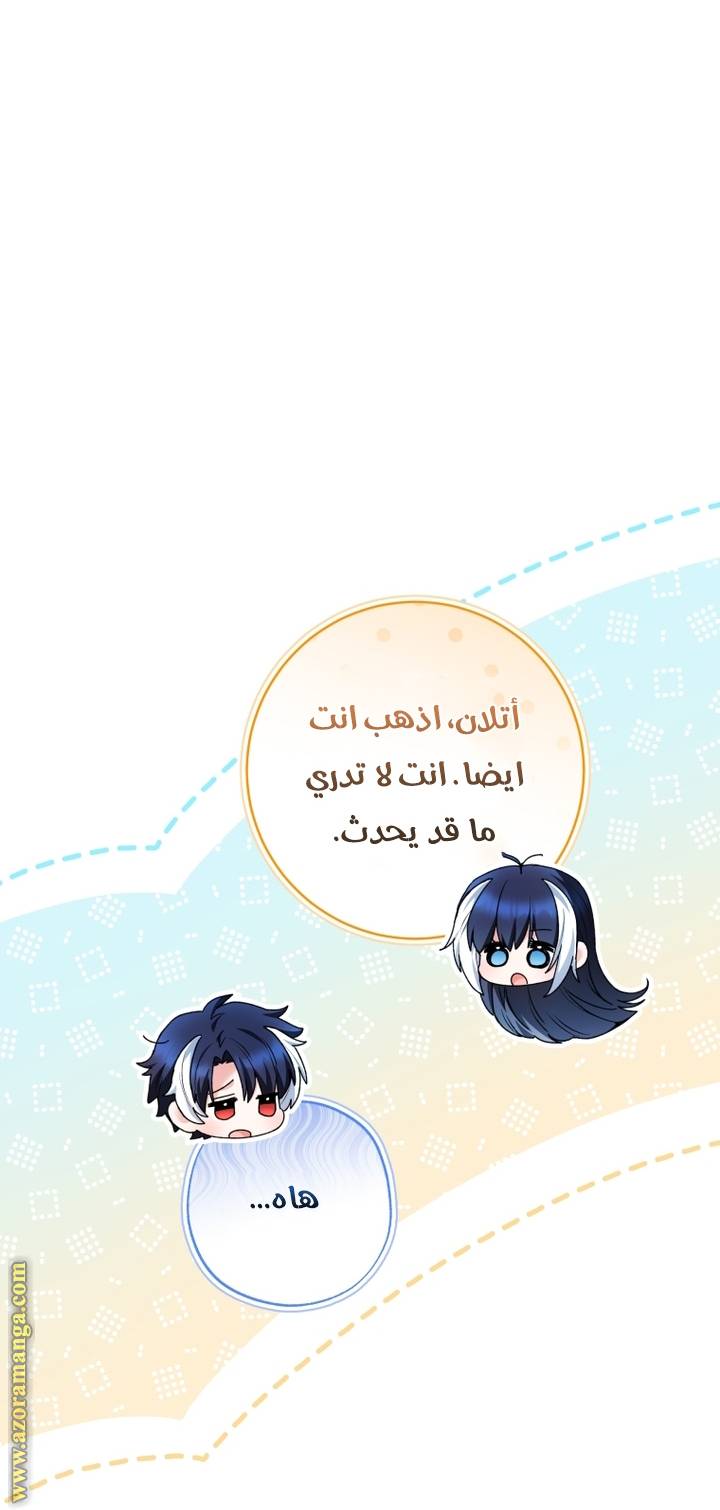 الصفحة 49