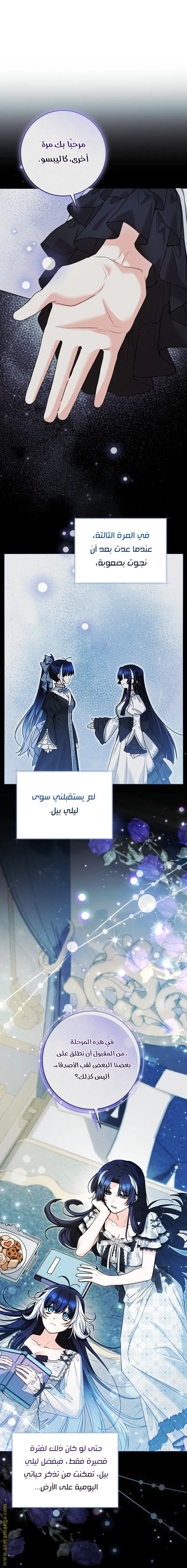الصفحة 14