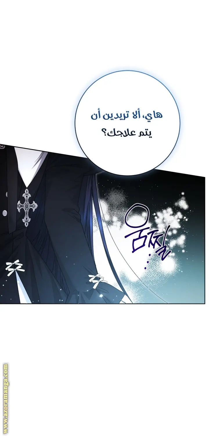 الصفحة 19