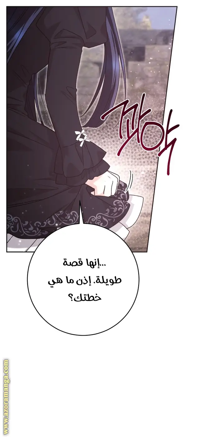 الصفحة 25