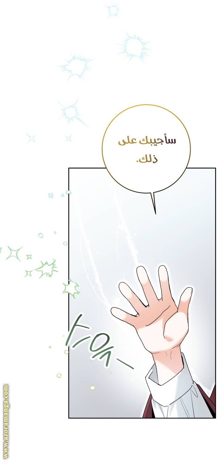 الصفحة 21