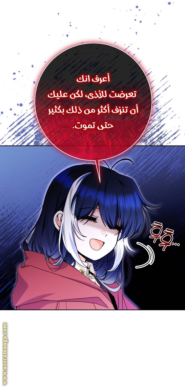 الصفحة 27