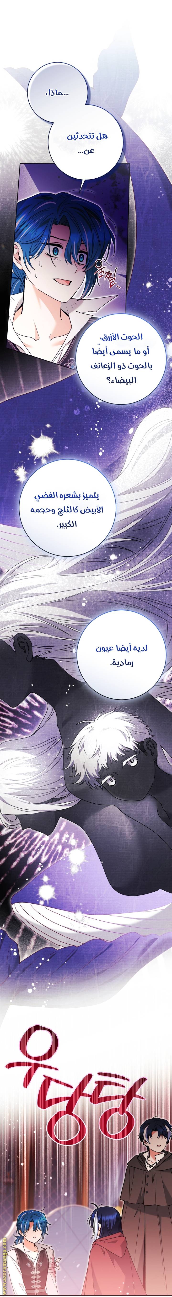 الصفحة 46