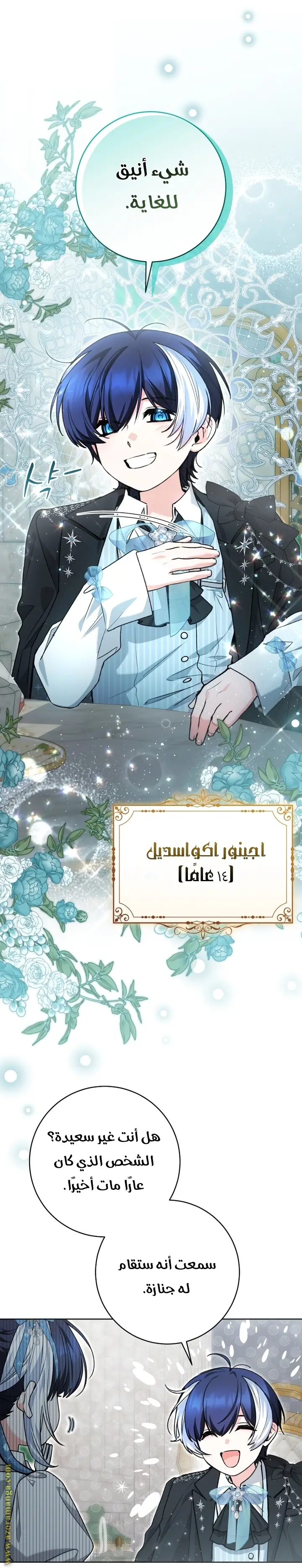 الصفحة 24