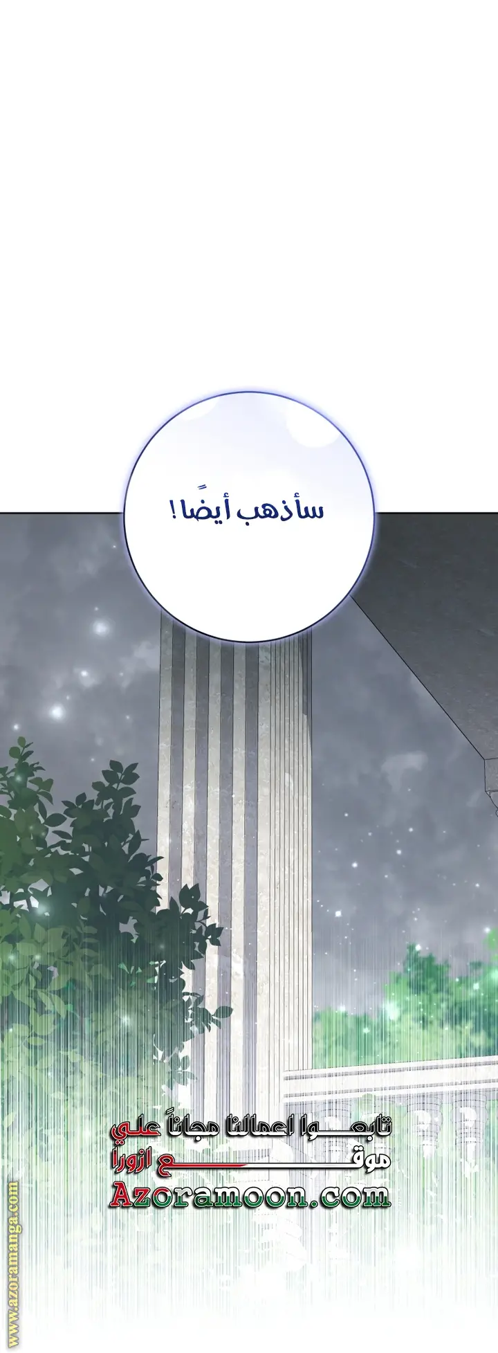 الصفحة 41