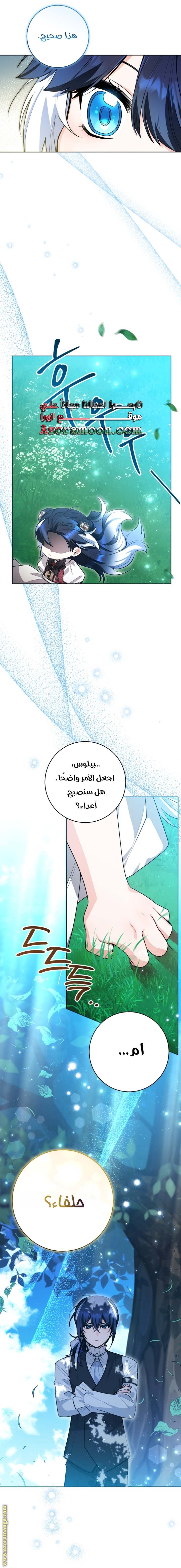 الصفحة 24