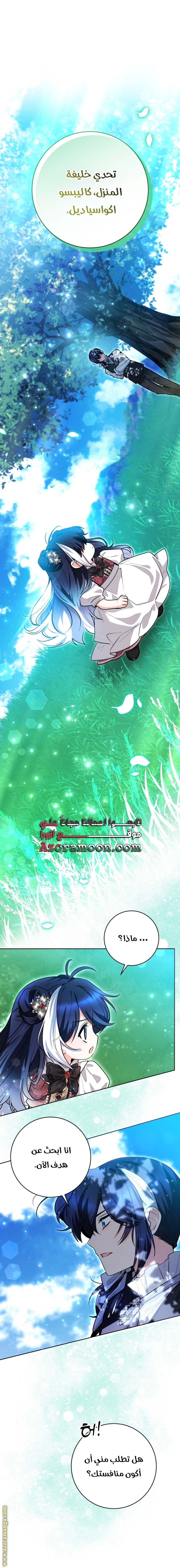 الصفحة 25