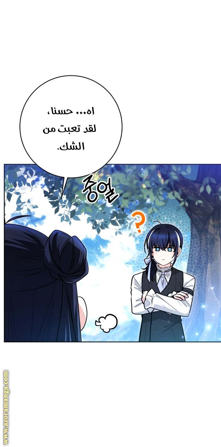 الصفحة 29