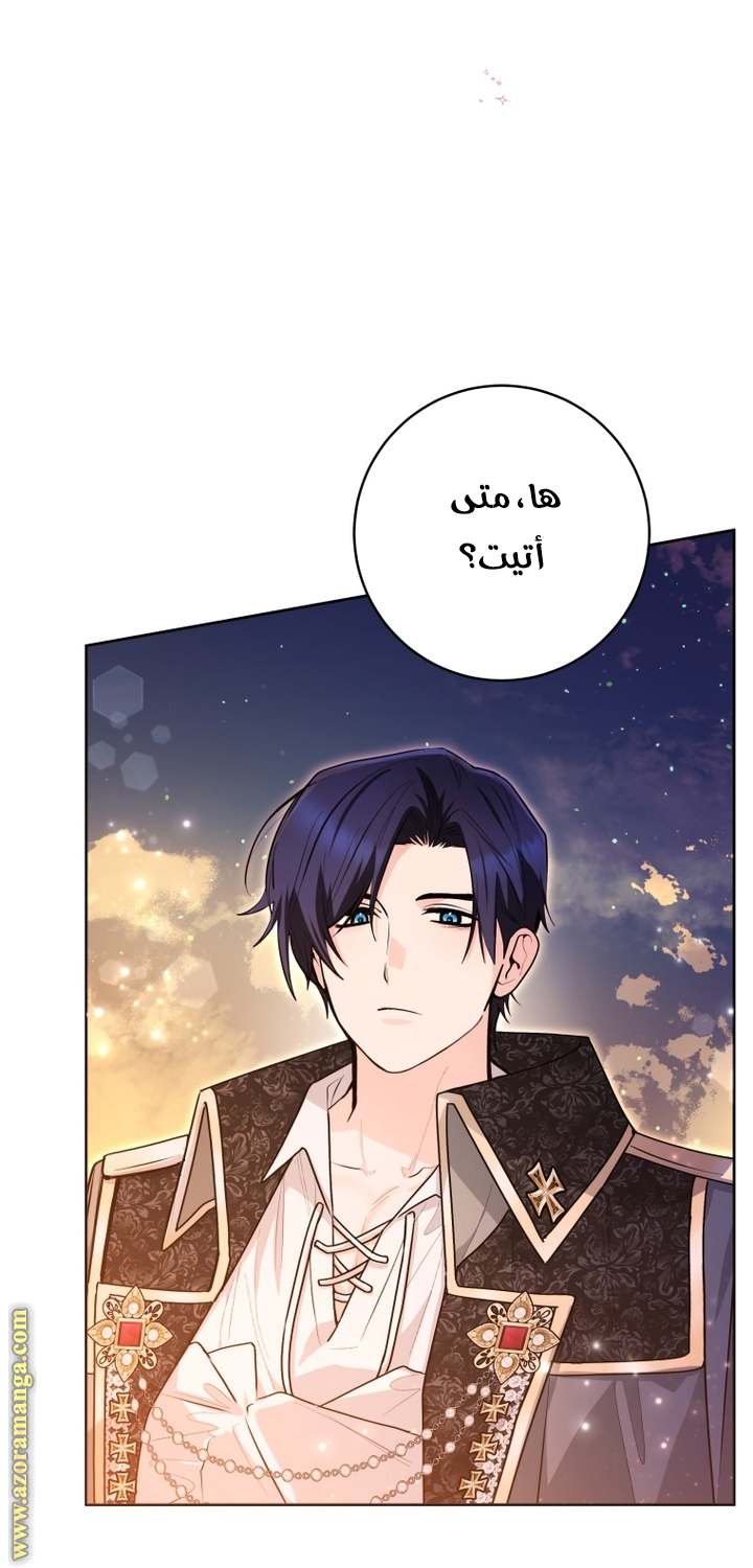 الصفحة 38