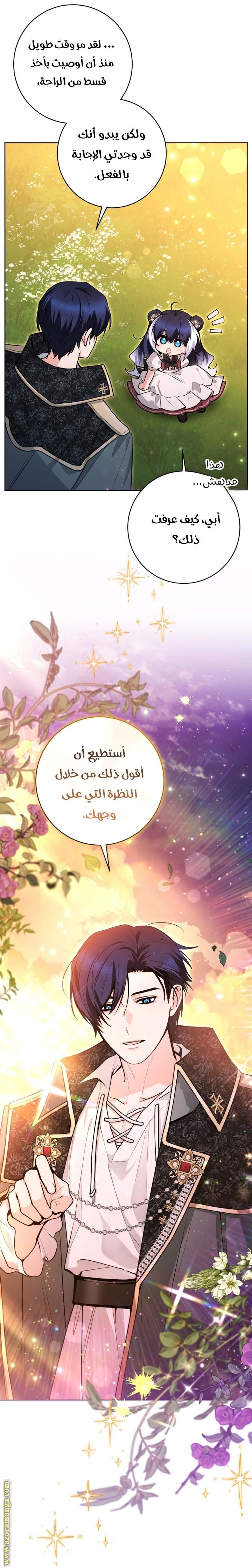 الصفحة 41
