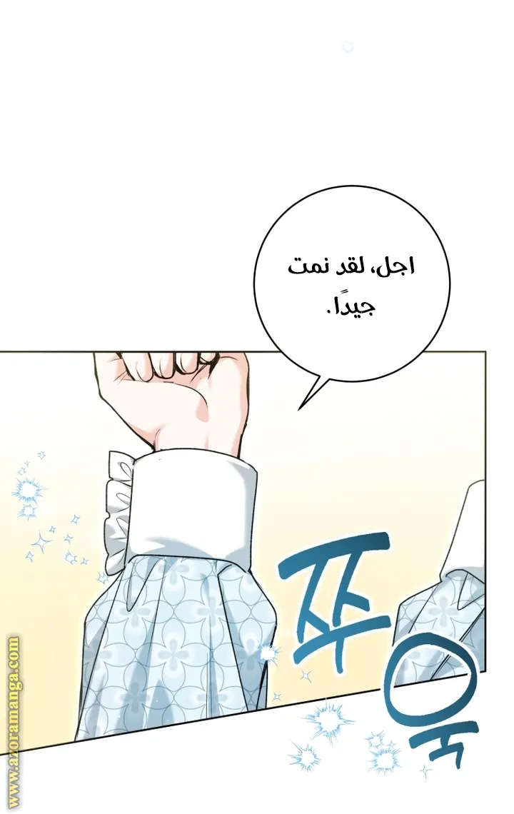 الصفحة 19