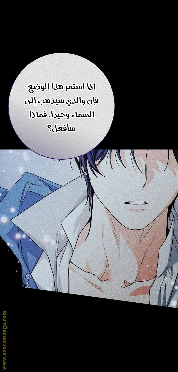الصفحة 24