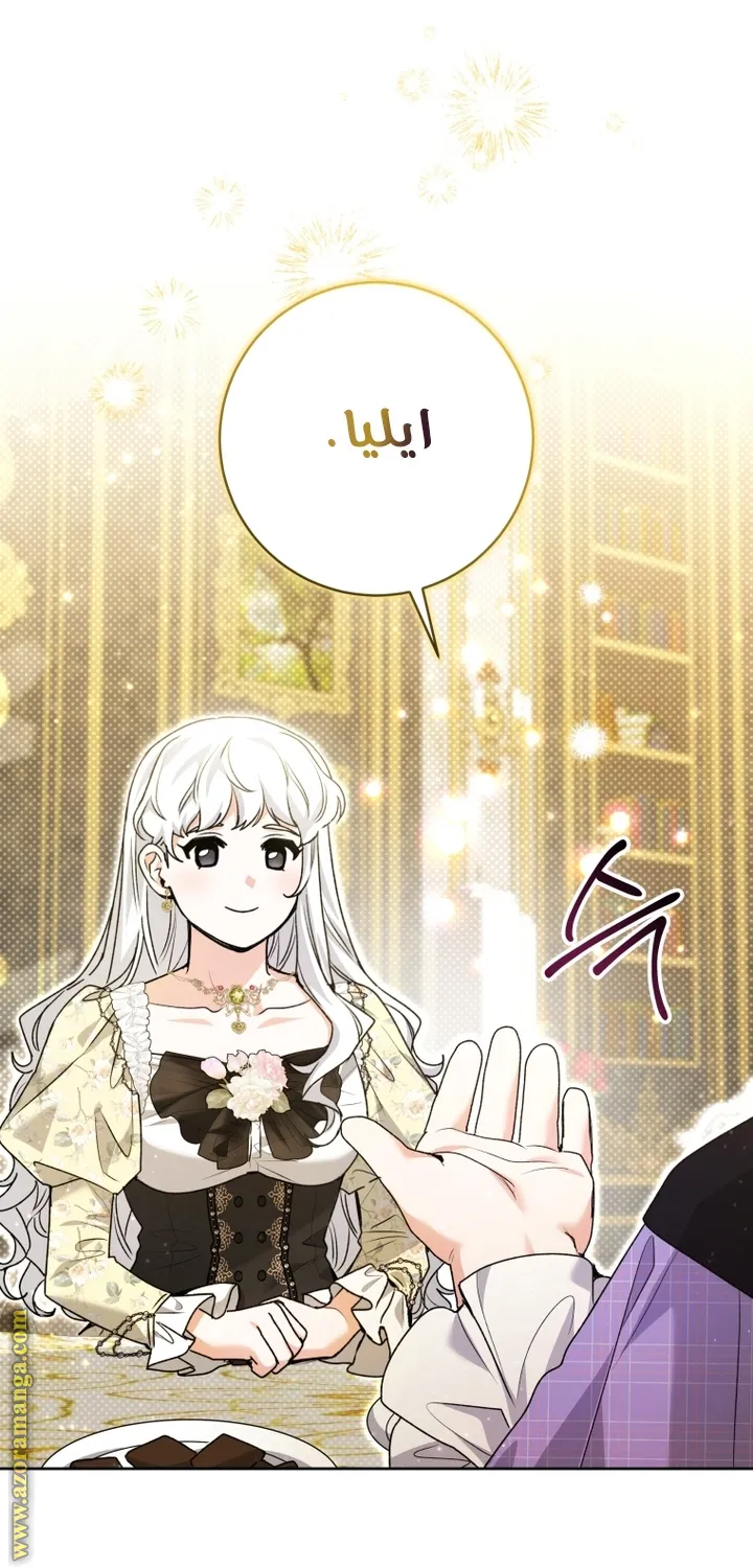 الصفحة 42