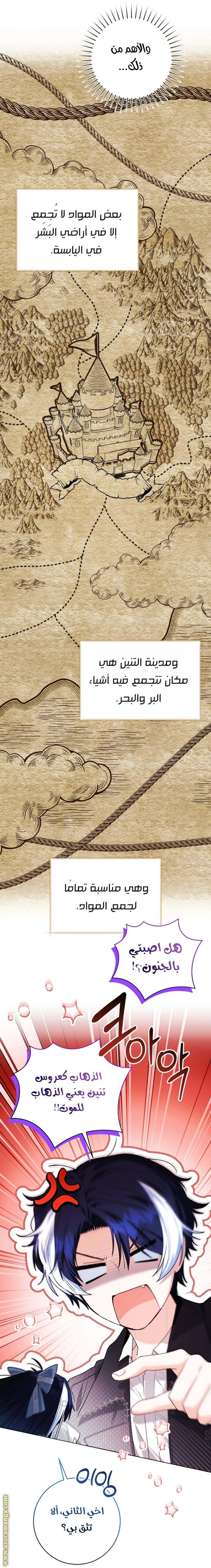 الصفحة 11