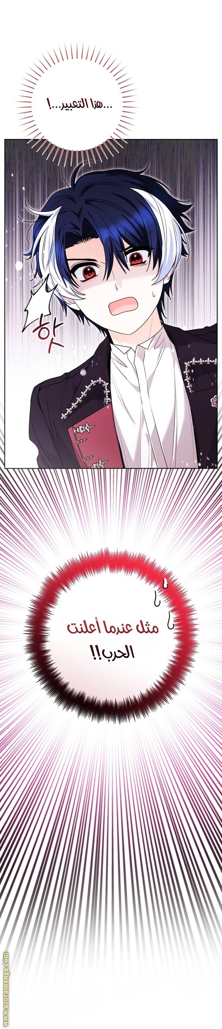 الصفحة 13