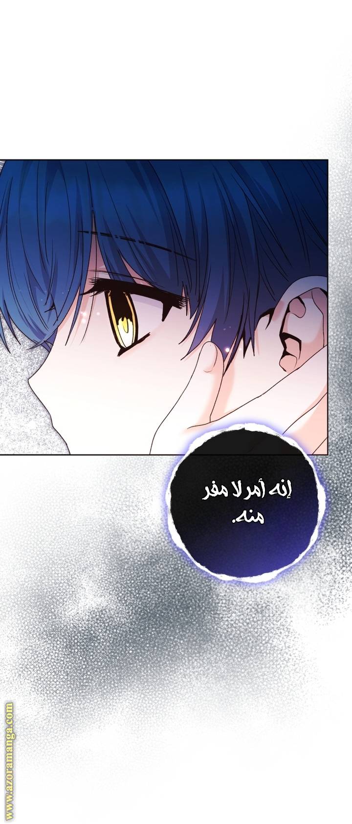 الصفحة 38
