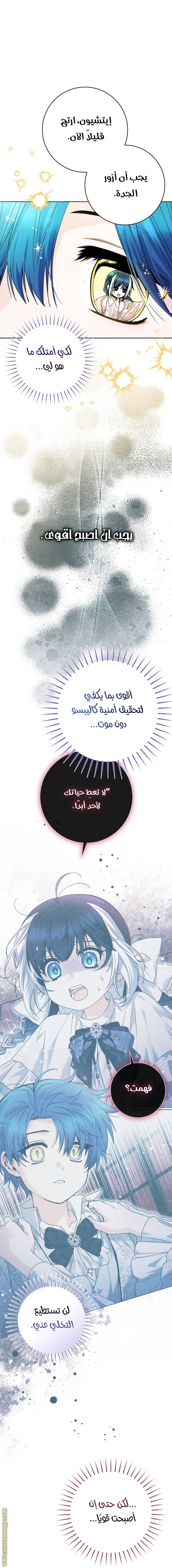 الصفحة 40