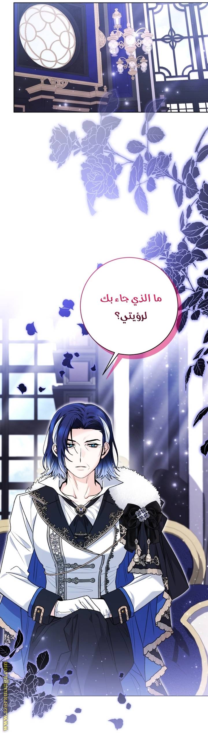 الصفحة 43
