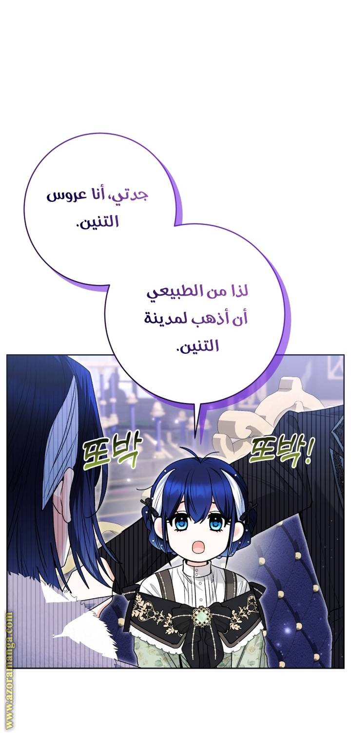 الصفحة 47
