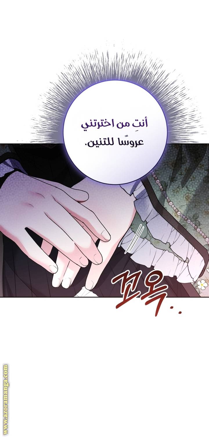 الصفحة 49