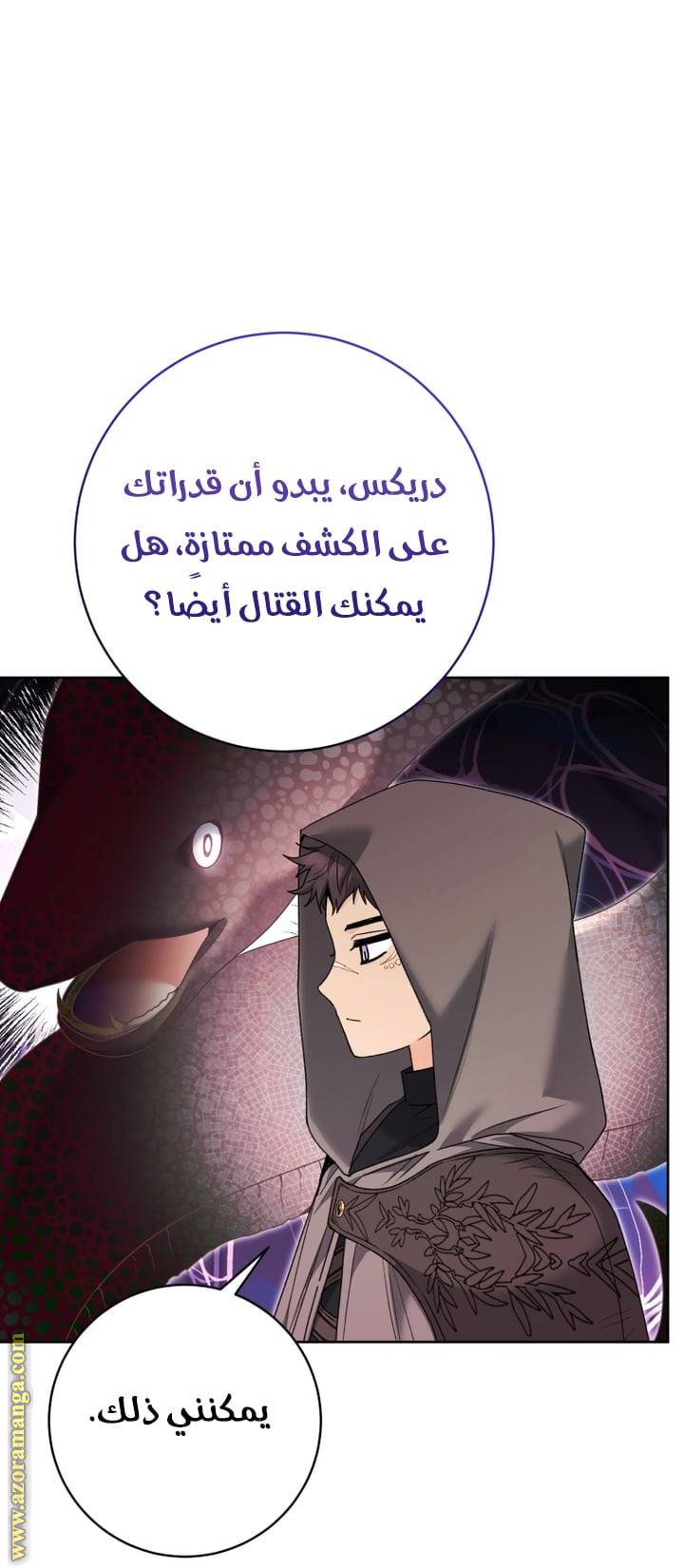 الصفحة 13