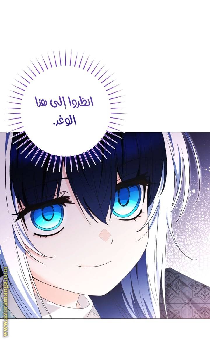 الصفحة 27
