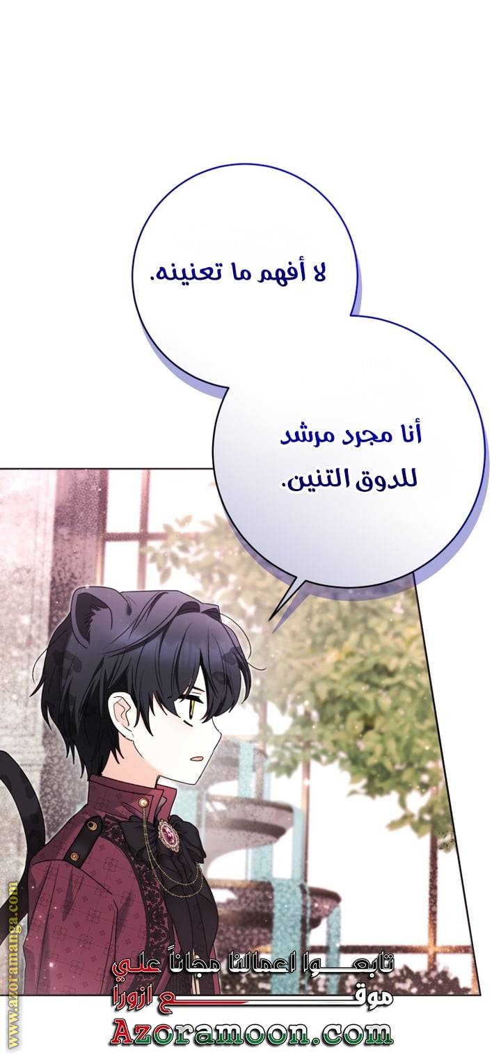 الصفحة 43