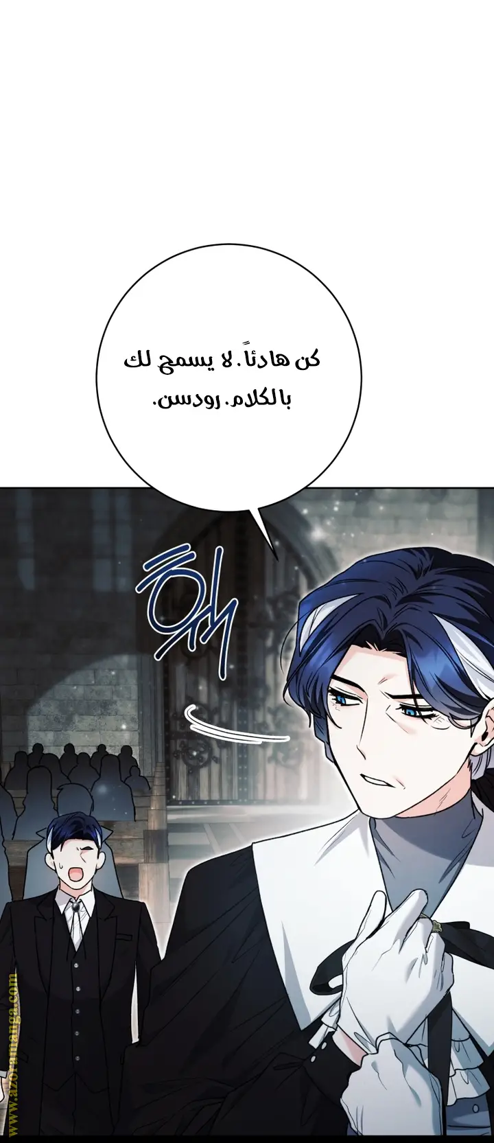 الصفحة 14