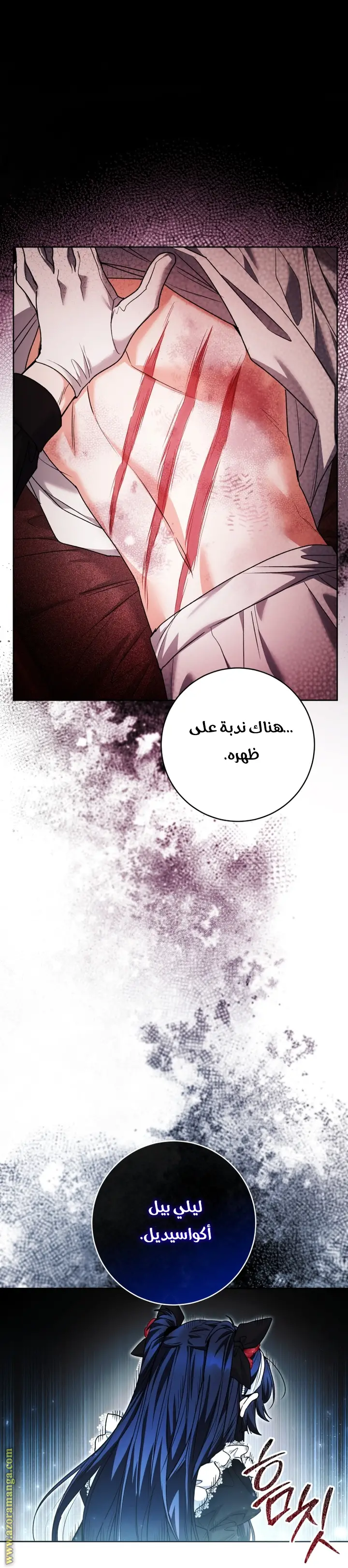 الصفحة 17