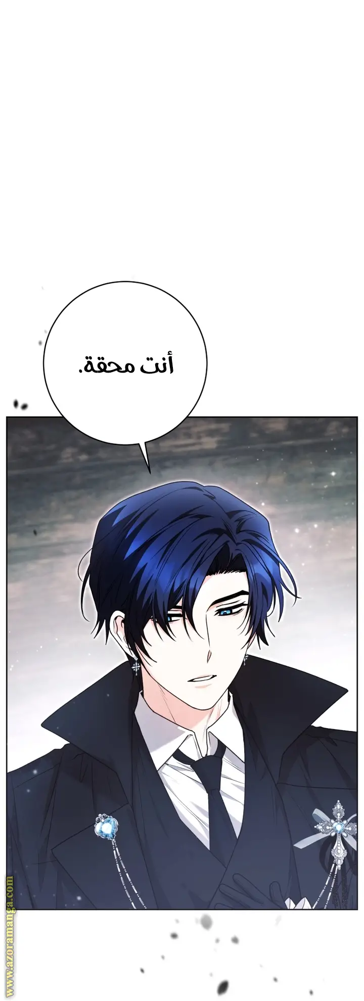 الصفحة 19