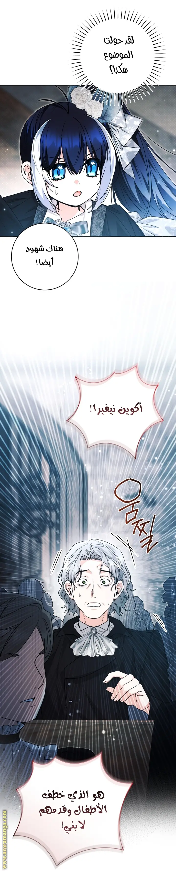 الصفحة 25