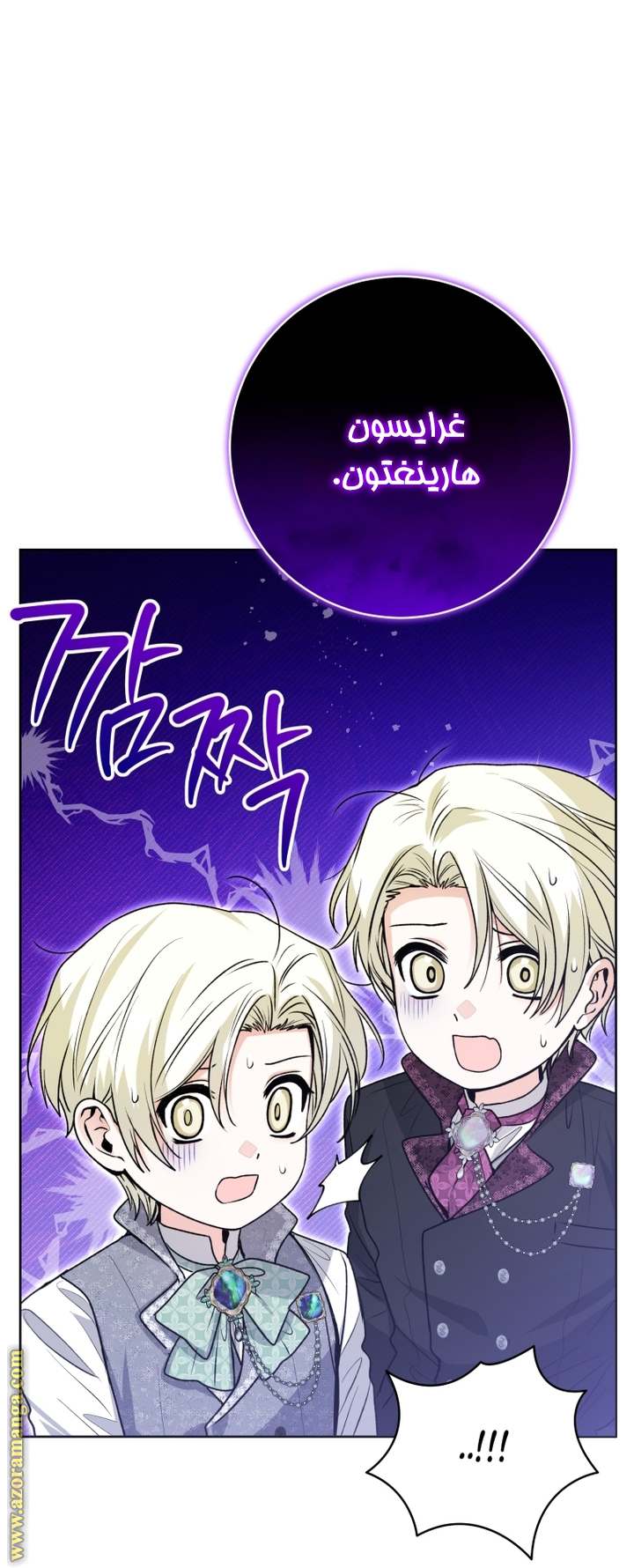 الصفحة 21