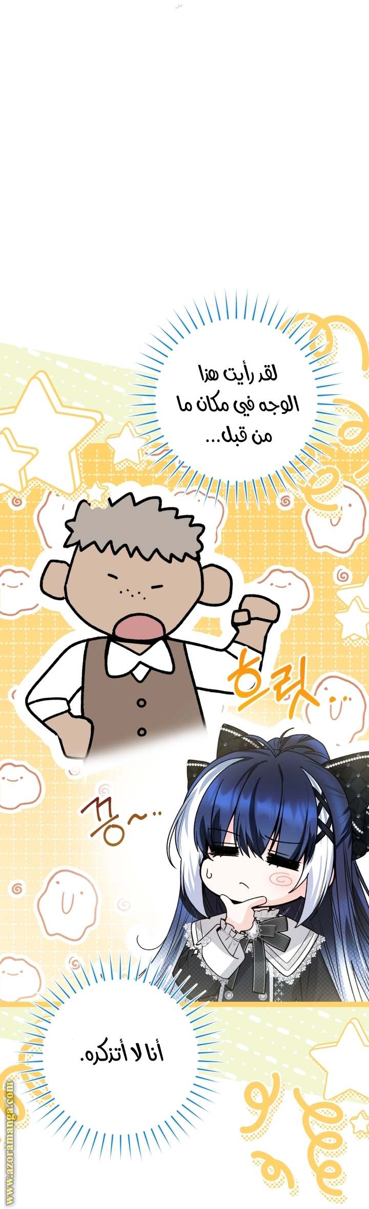 الصفحة 25
