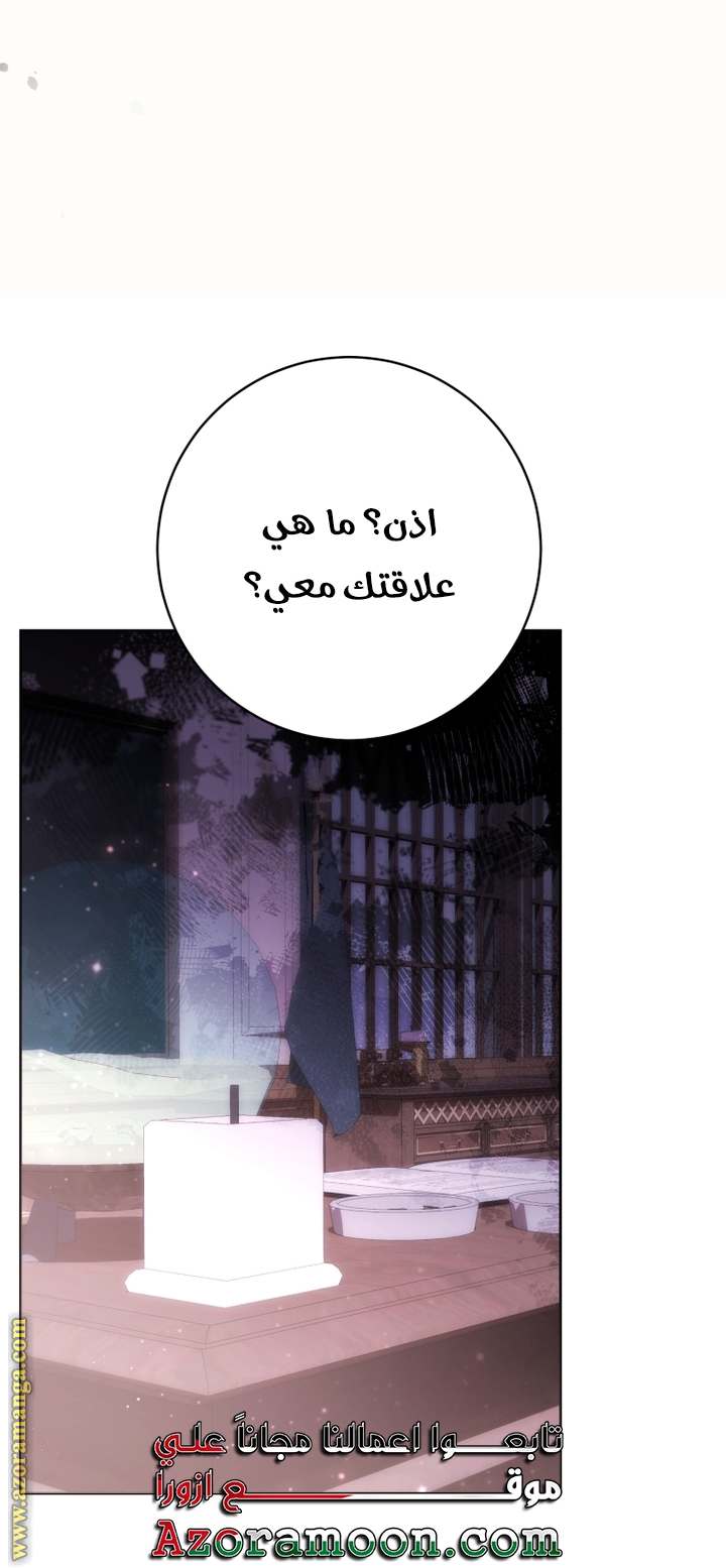 الصفحة 43