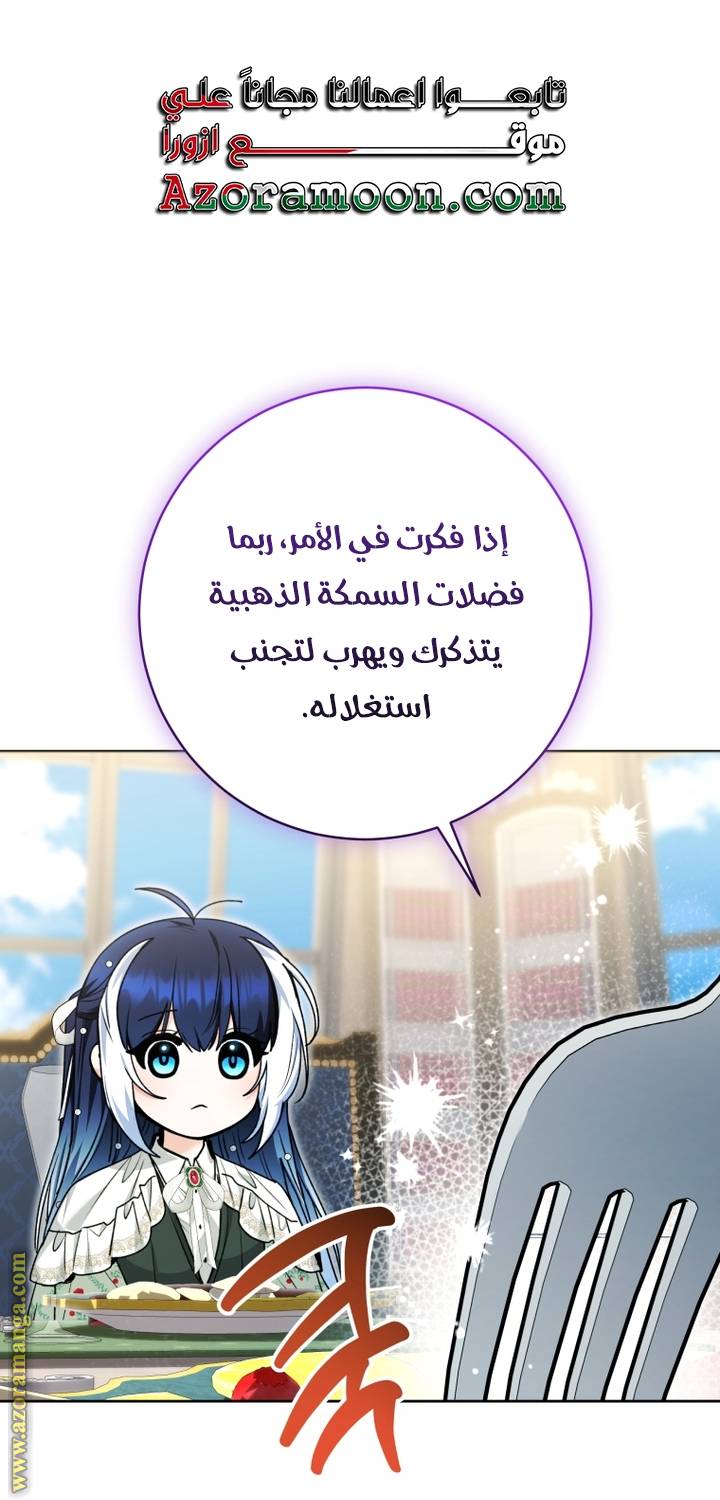 الصفحة 24