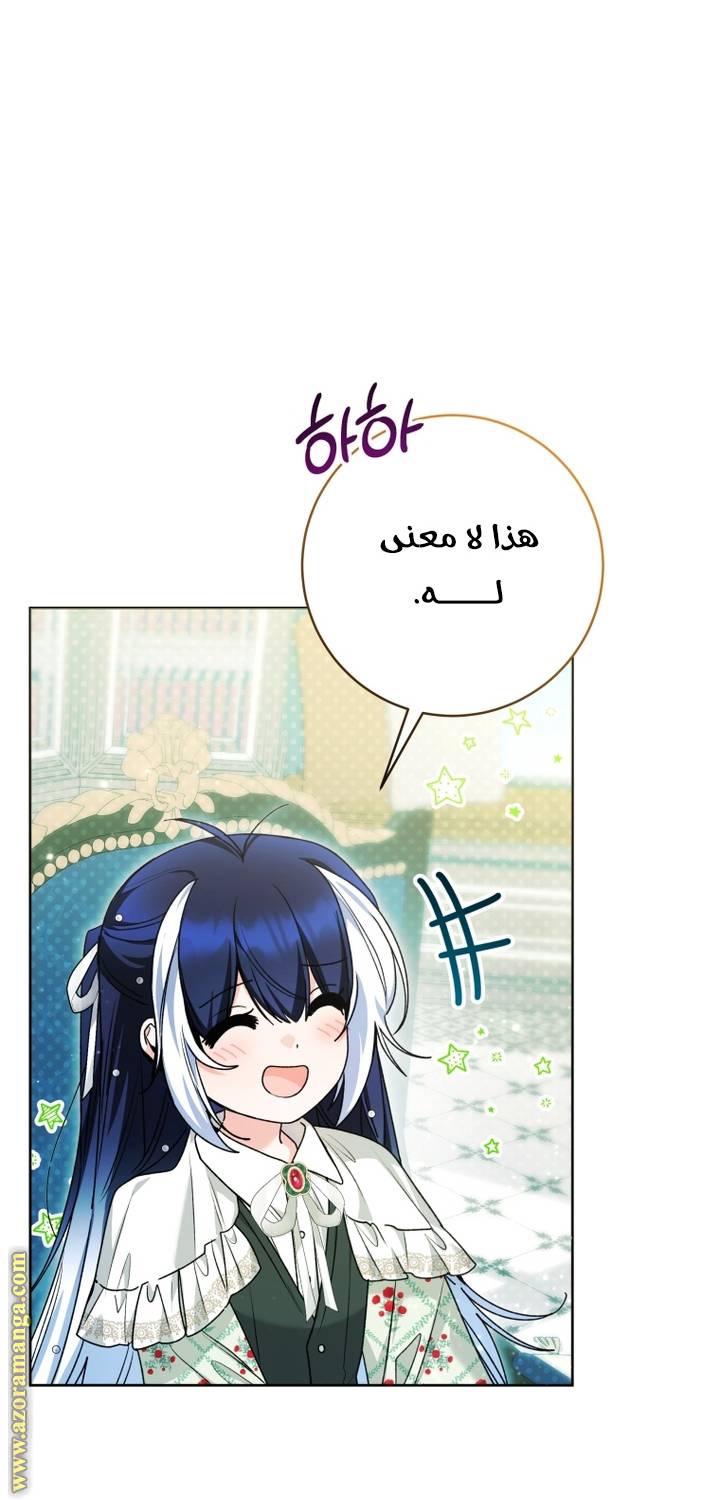 الصفحة 25