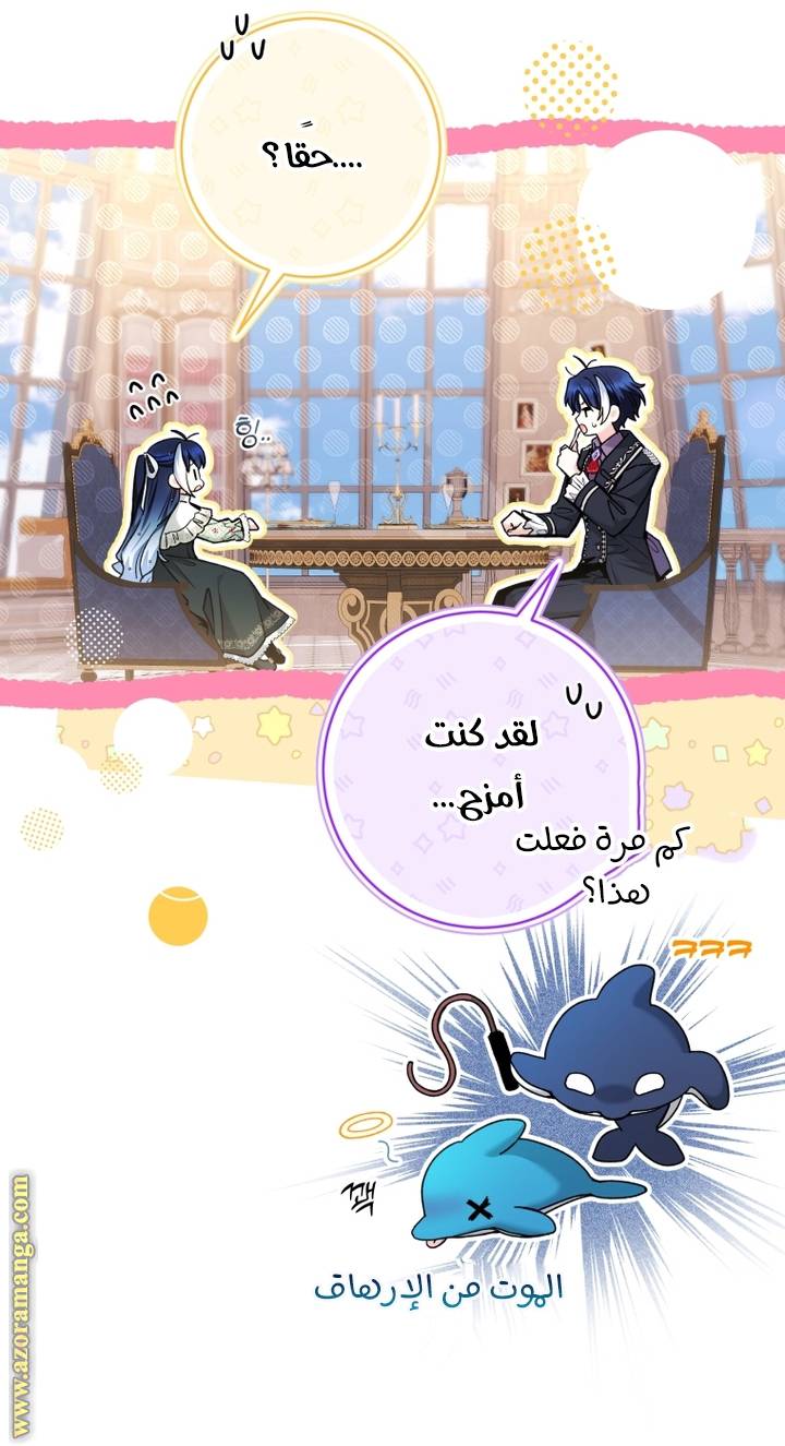 الصفحة 27