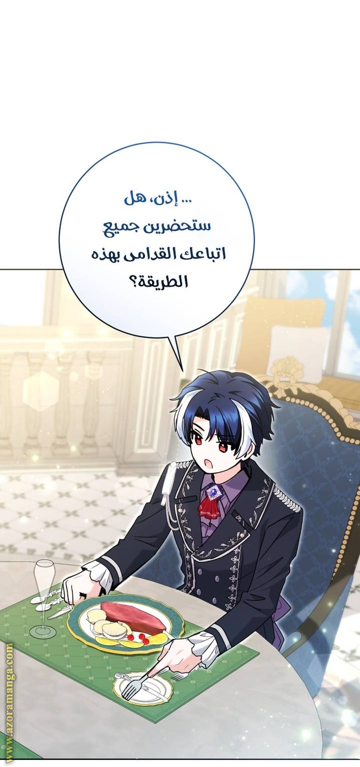 الصفحة 29