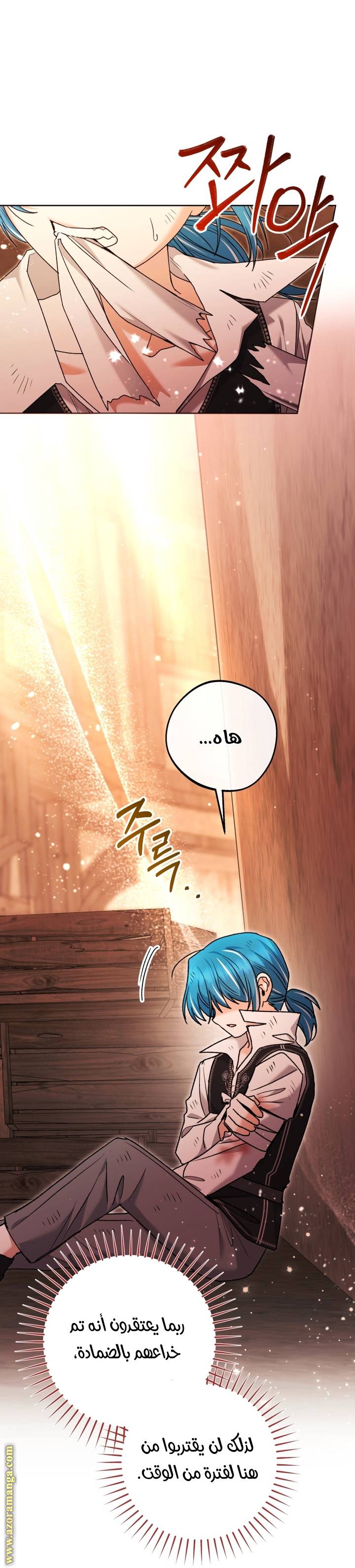الصفحة 41