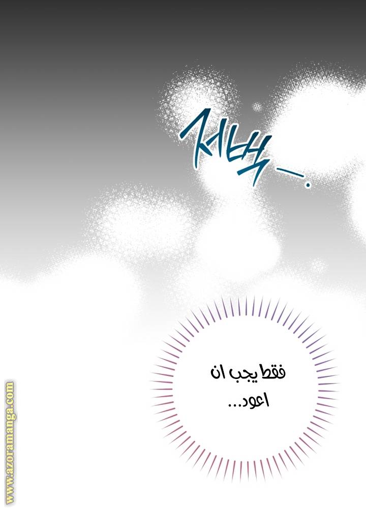 الصفحة 46